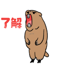 Yuto_20250820183551