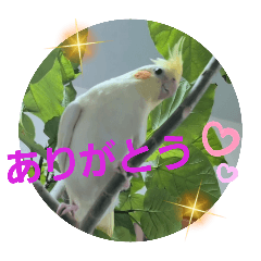 Chestnuts_20250820184953