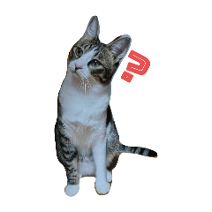 Seira_20250820215830