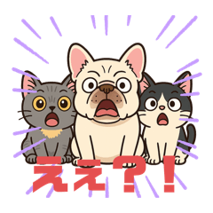 miyuu_20250820232305