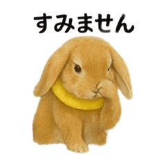 himawari_20250821123221