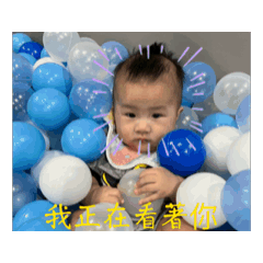 香菜鳥蛋
