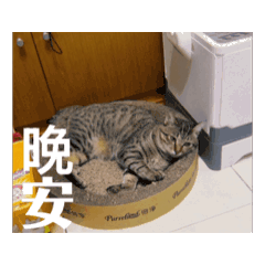 小寶乖乖