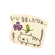 animals pop and cute03