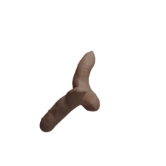 The Various Forms of Feces