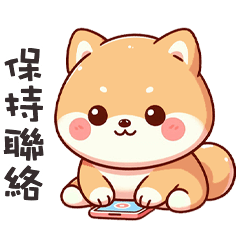 ^・ᴥ・^ 小胖柴犬保持聯絡