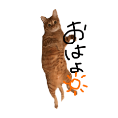 Chihiro_20250820204216