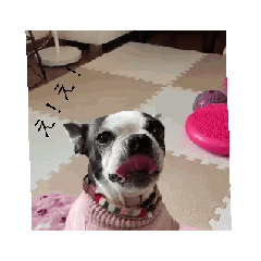 MAME_20250821105904