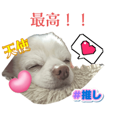 acane_20250820230732