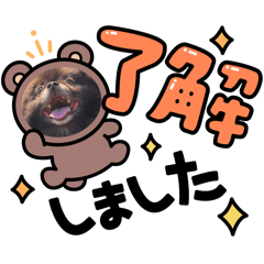 sakura_20250821003438