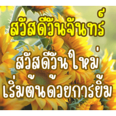 สวัสดีใช้ได้ทุกวัน 6