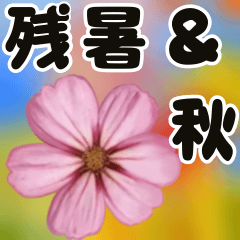 ❤️秋色のお花と大人が見やすい大きな文字