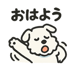 Chill Mini Schnauzer