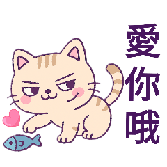 貓比～貓比邀請現實豬釣魚去