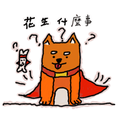 快樂的柴柴家族