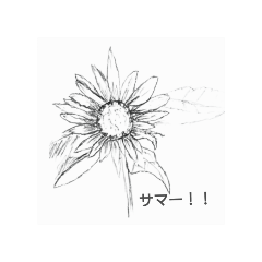 sachi_20250819142917