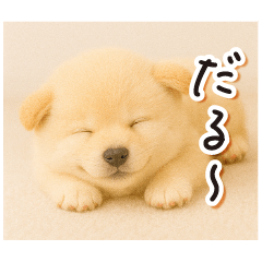 子犬のゆるく使う日常スタンプ