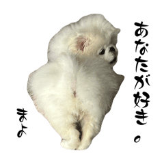 mayora_20250819173836