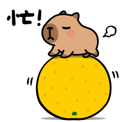 <瞇眼小豚豚> ♡♡♡