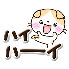 Brown scottish fold32