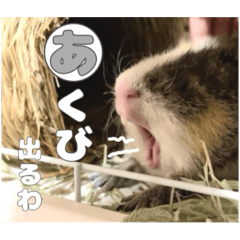 yamada_20250821130507