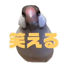 Haruka_20250821200721