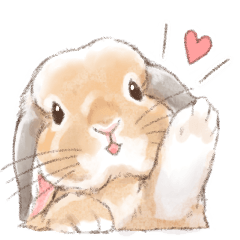 日常使い「垂れ耳うさぎ（オレンジ）」