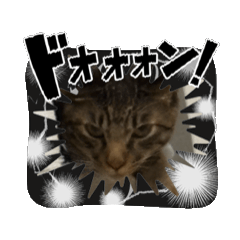 ai_20250821211756