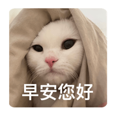 阿喵錢錢第二彈