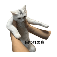 omochi_20250821164044