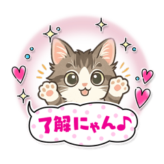 『ノルウェージャンフォレストキャット』