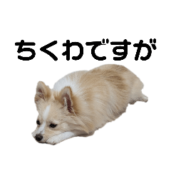 hks_20250821222936