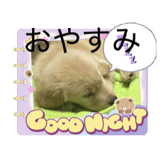 yuuua_20250821223246