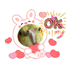 yuuua_20250821223434