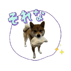 kinako_20250822010603