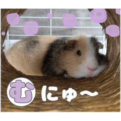 yamada_20250821141548