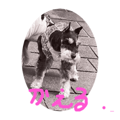 kumaken_20250821225823