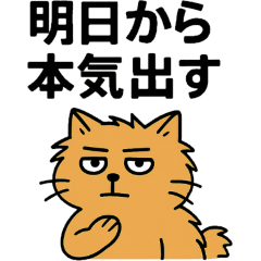 Sabo Neko