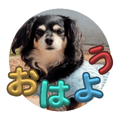 Yoshiken_20250821181545