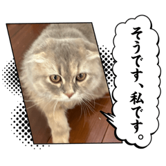 serina_20250821221536