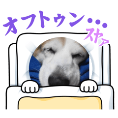 AYUMI_20250821145548