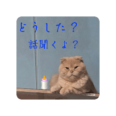 tsubaki_20250821151235