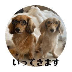 NATSU_20250821190218