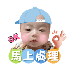 林小弟駕道