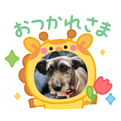 kurumi_20250822074148