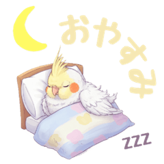 オカメインコ　日常・一年中使えるスタンプ