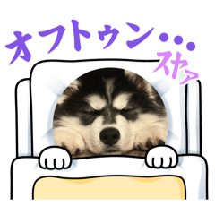 wataame_20250821235902