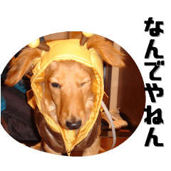 marutyan_20250822103814