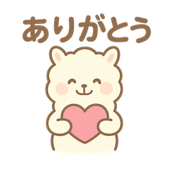 Cute and fluffy alpaca