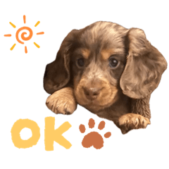 Nagisa_20250821211202